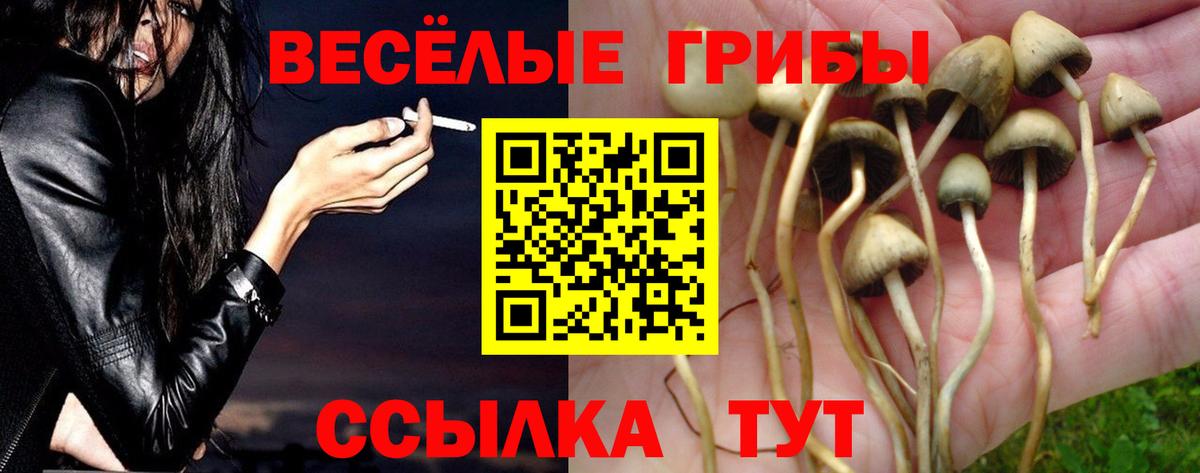 Галлюциногенные грибы ЛСД Якутск